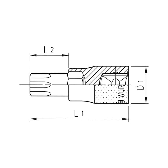 LOKMA 1/4I-İÇ DELİKLİ TORKS-KROM-TX20